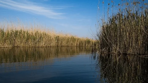 صدور دستور رهاسازی آب به سوی هورالعظیم