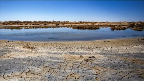 بحران زیست محیطی تالاب های خشکیده استان فارس
