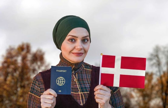 ۶ دلیل وسوسه کننده برای مهاجرت به دانمارک