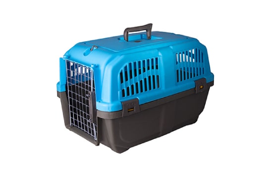 ویژگی‌های مهم باکس حمل گربه و باکس حمل سگ در سفر+ غذای سگ مناسب در سفر