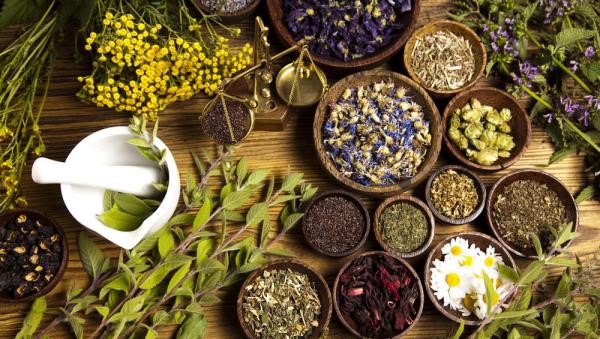 راهکارهایی برای ارزآوری صادرات گیاهان دارویی ایران در تجارت جهانی