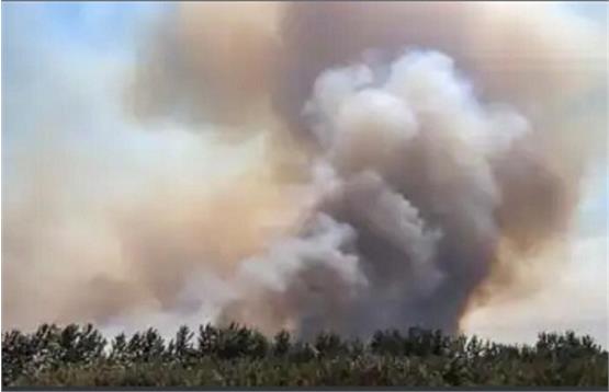 علت آتش‌سوزی‌ شدید در تالاب انزلی و هورالعظیم/مقامات محلی می گویند سوزاندن اراضی به قصد تصرف آنها است