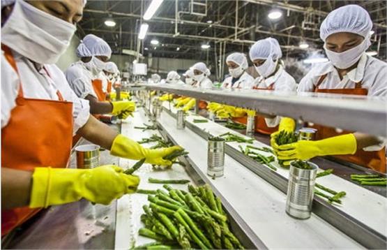 «صنعت غذای ایران» بیشترین سهم را در «ایجاد اشتغال» دارد