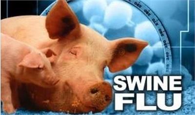 شناسایی نوع جدیدی از آنفلوآنزای خوکی