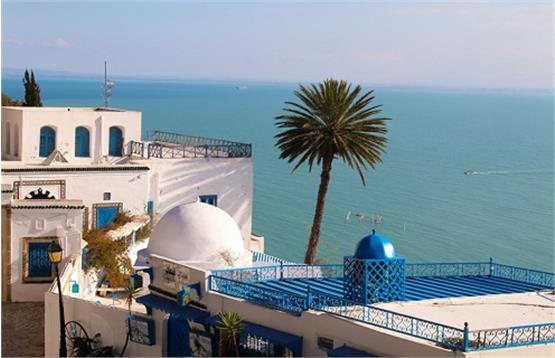 تونس؛ کشور آبی سفید!